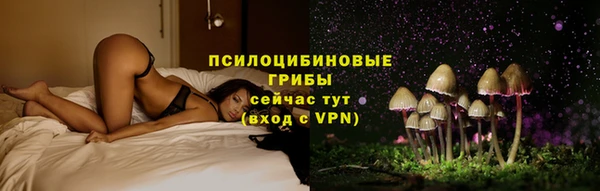 прущие крисы Армянск