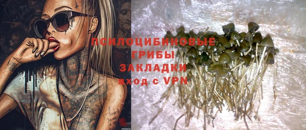 дживик Аркадак