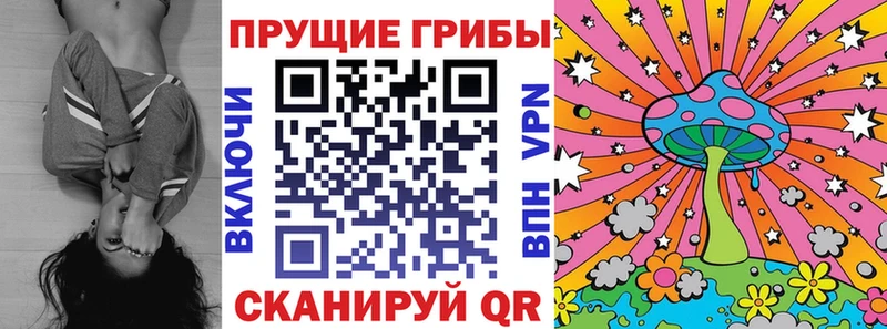 Купить где  Верхоянск  Галлюциногенные грибы Magic Shrooms 